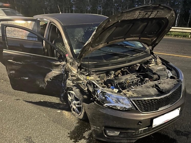 В выходные в Рязанской области два человека погибли и 39 пострадали в ДТП