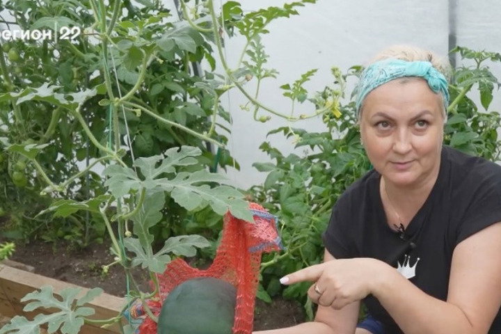 Женщина из Коряжмы преуспевает в выращивании тропических растений на своей даче
