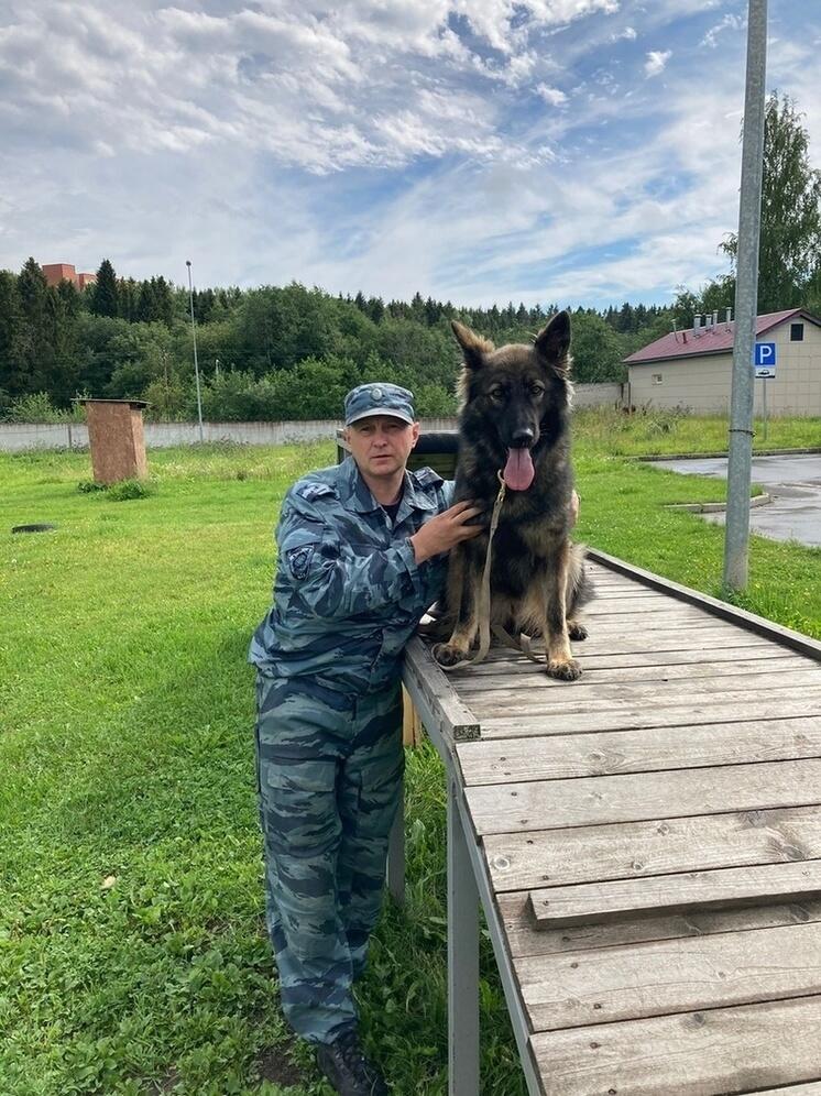 Похитителя магазинной кассы в Петрозаводске нашли по запаху