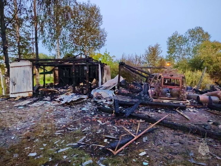 В Велиже огонь уничтожил постройки