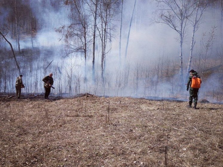 Два лесных пожара ликвидировали в Приангарье за сутки