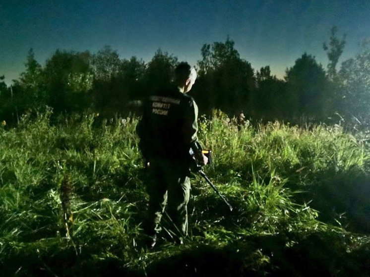 Жителя Завьяловского района подозревают в убийстве из ревности