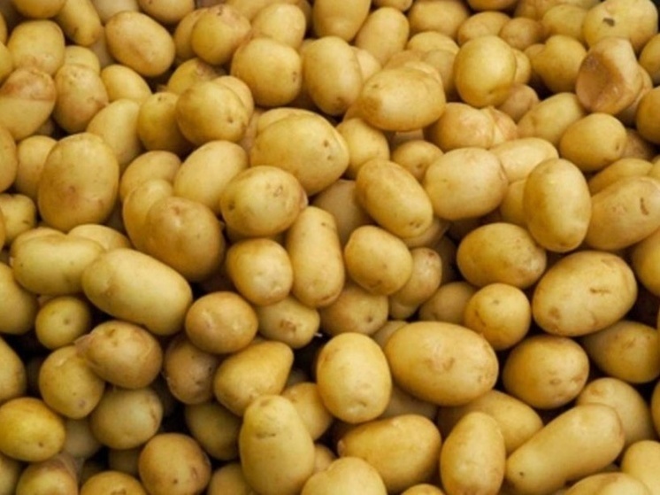 I will sell a small potato bucket 10 l.-50 rub. 2022 Куплю - Продам - Отдам - Об