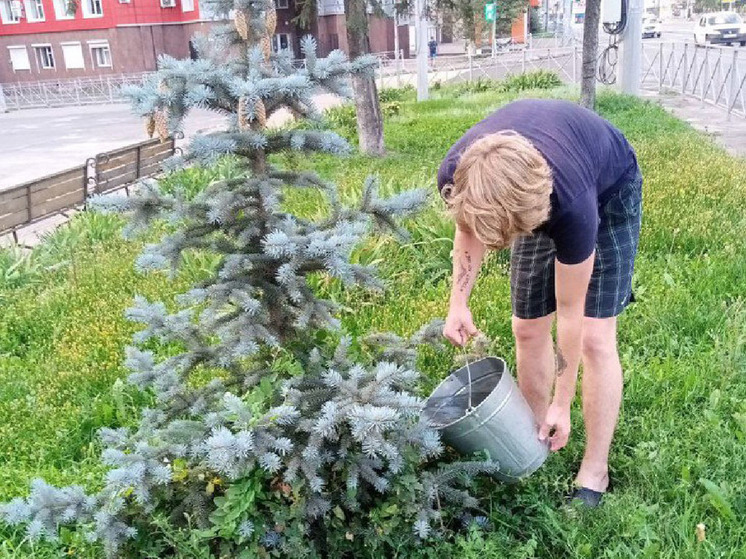 В Курске на полив одного молодого дерева в жару каждый день уходит по 20 литров воды