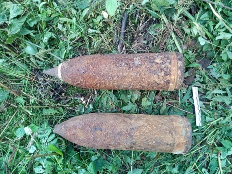 В Ярославской области грибник нашел в лесу артиллерийский снаряд