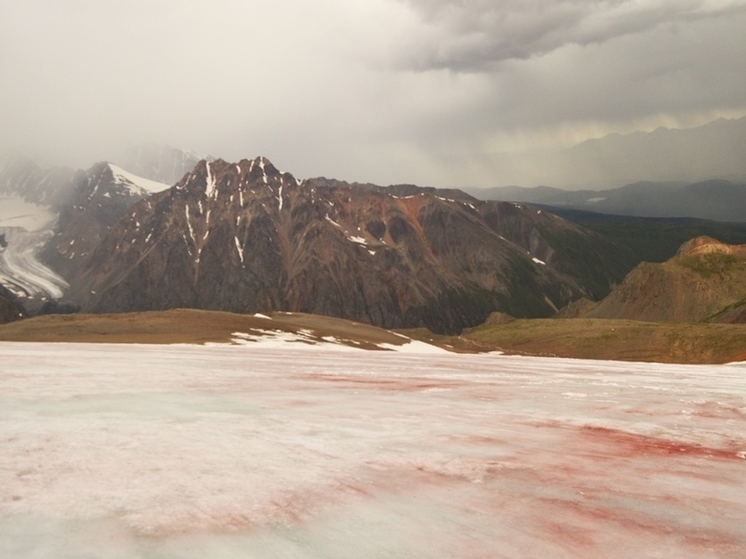Томские ученые нашли на Алтае розово-красный ледник