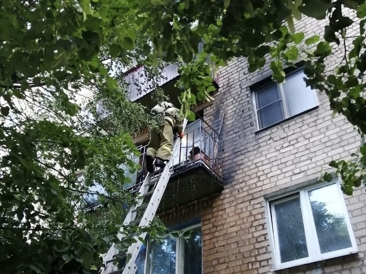 Во время пожара в Ливнах Орловской области эвакуировали 10 человек