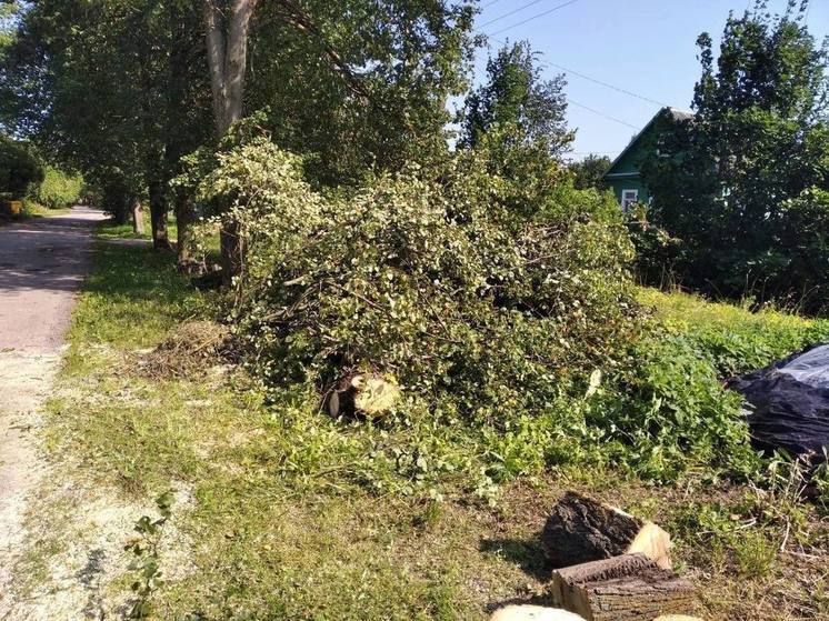 Более 9 тысяч жителей Псковской области остались без света из-за циклона, пришедшего в регион