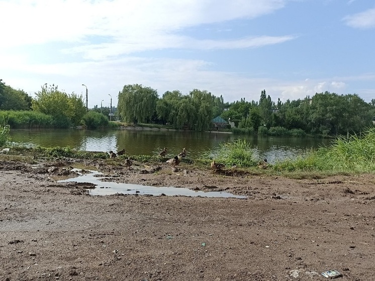 Экологи приступили к расчистке водоемов Луганска