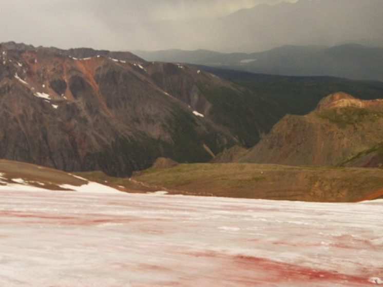 На Алтае ледник окрасился в кроваво-красный цвет: ученые бьют тревогу