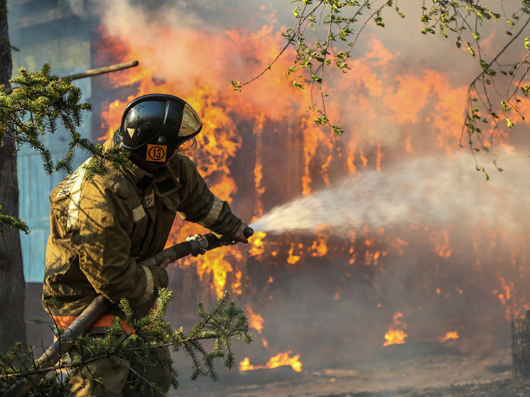 В Надымском районе горят 1500 гектаров леса