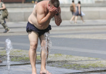 В Центральной России продолжается жаркая погода — температура нередко превышает 30 градусов тепла