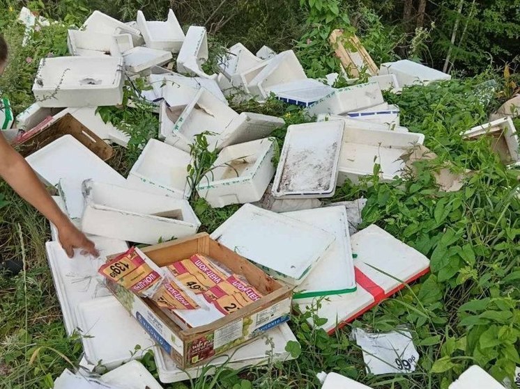 Читинка обнаружила гору торгового мусора возле Сухотино