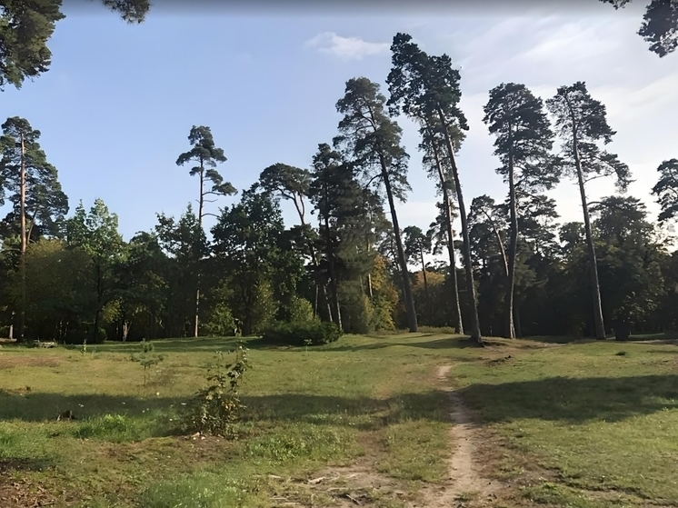 Познавательный маршрут появится в парке Теодора Кроне в Калининграде