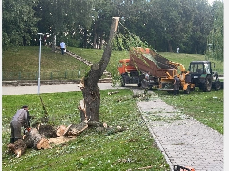 После бури смоленским коммунальщикам работы хватит на неделю