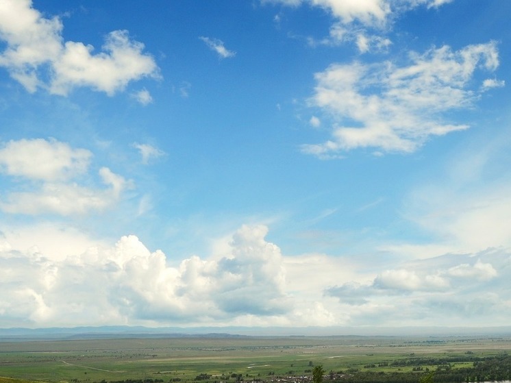 Брянский губернатор Богомаз: ВСУ обстреляли поселок Белая Березка