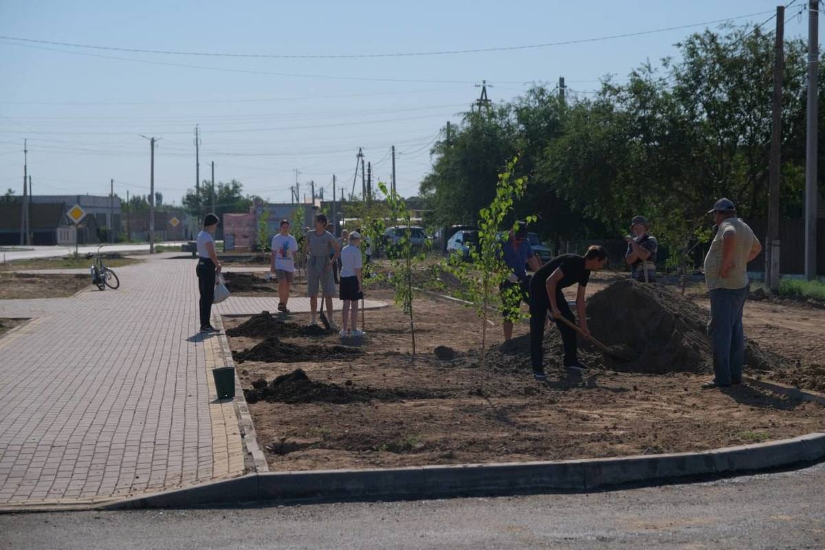 В Приволжском районе Астраханской области высадили аллею деревьев
