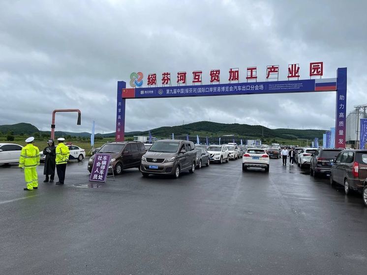  Компания из КНР планирует поставить в Приморье тысячу подержанных автомобилей
