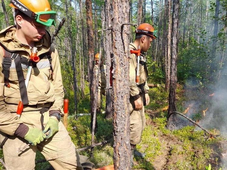 Якутск заволокло дымом из-за лесных пожаров