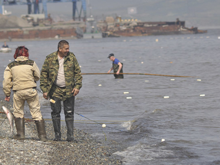 Лососевая путина на Чукотке устанавливает антирекорды