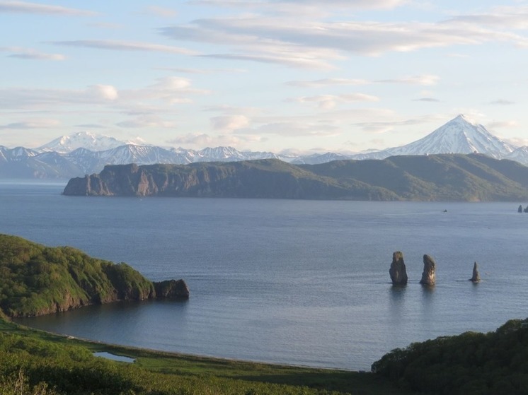 От юннатов к homo ecologicus