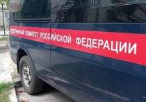 Вячеслав Гладков в ходе прямого эфира 8 августа прокомментировал убийство 15-летней белгородской школьницы