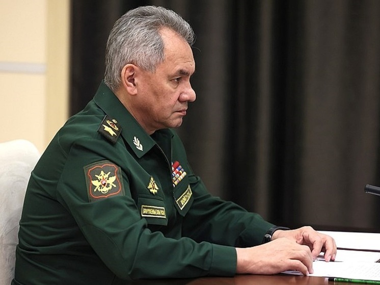 Шойгу: коллегия Минобороны рассмотрит вопросы создания Московского и Ленинградского военных округов