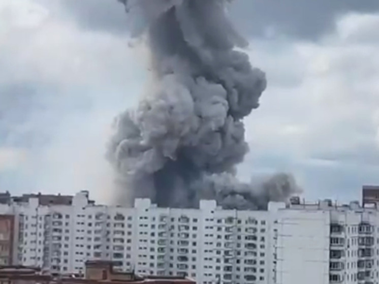 The external influence version will be checked with video cameras