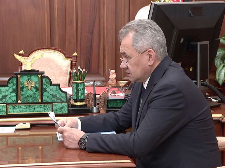 Министр обороны Шойгу обвинил коллективный Запад в ведении опосредованной войны против России