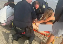 Весь Нью-Йорк обсуждает редчайший случай: у пляжа Рокуэй-Бич, находящегося неподалеку от международного аэропорта Кеннеди, впервые за 70 лет акула укусила женщину