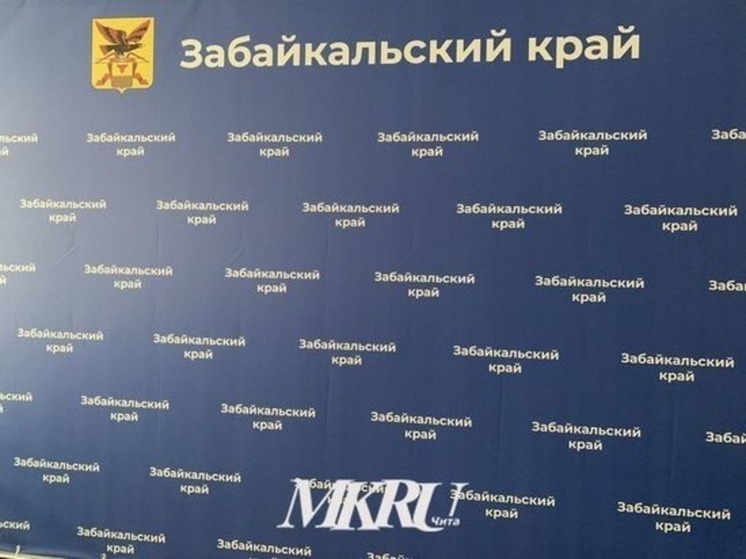 Огурцы, помидоры, макароны, свинина и водка подешевели за неделю в Забайкалье