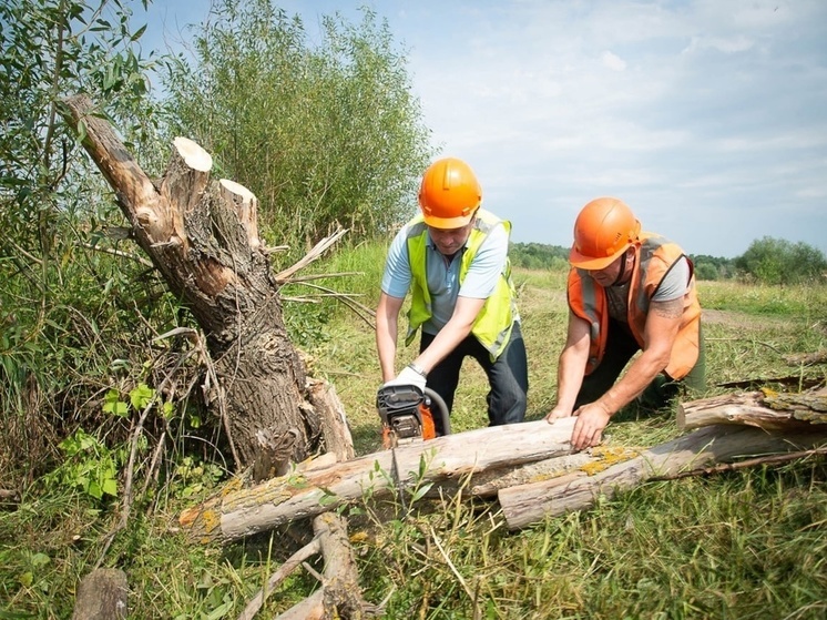Экологи убрали более 2 тонн мусора на берегу карьера в Озёрах