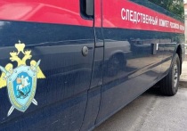В Белгородской области после смерти на реке Нежеголь в Шебекино 8-летнего мальчика возбуждено уголовное дело по статье о причинении смерти по неосторожности