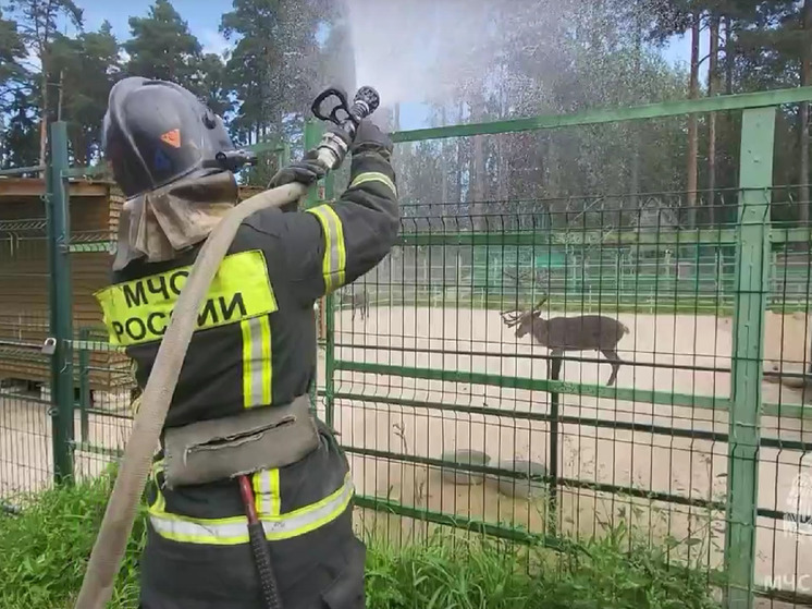 Водные процедуры устроили костромские спасатели обитателям зоопарка