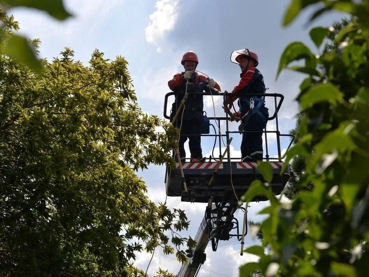 В Омской области стартовала программа по реконструкции электросетей в СНТ