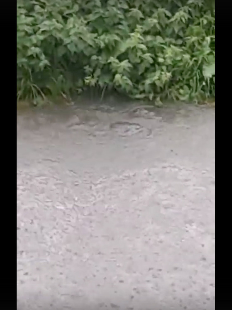 Ливень затопил двор в Петрозаводске