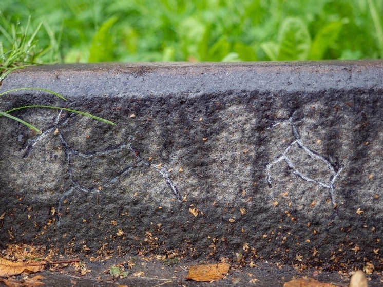 Новые наскальные рисунки появились в центре Петрозаводска