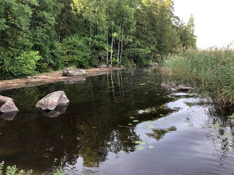 Прокуратура проверит петербургские пляжи из-за гибели людей в водоемах