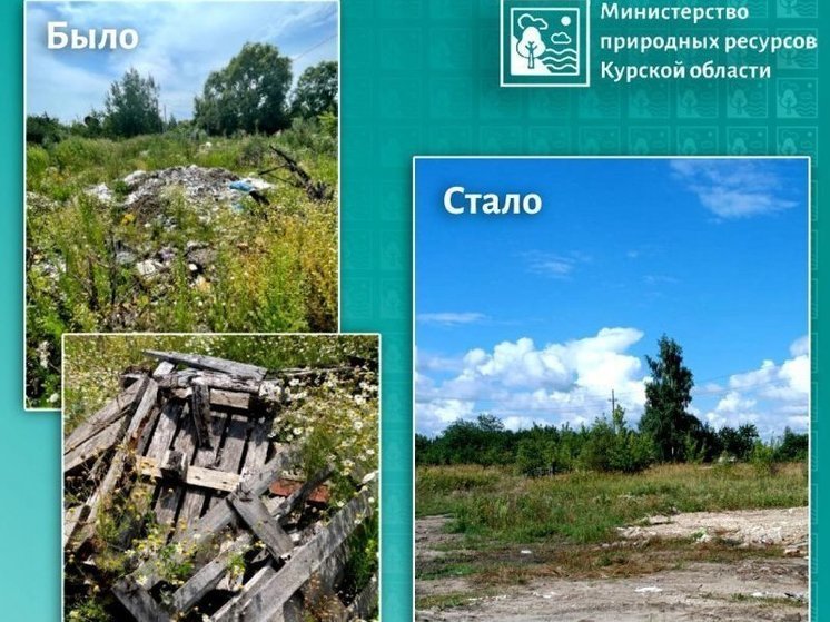 Под Курском ликвидировали несанкционированную свалку вблизи хутора Саблин