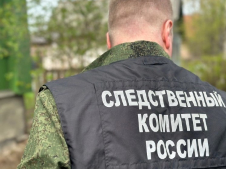 Следственный комитет возбудил уголовное дело по факту убийства жителя Новгородской области