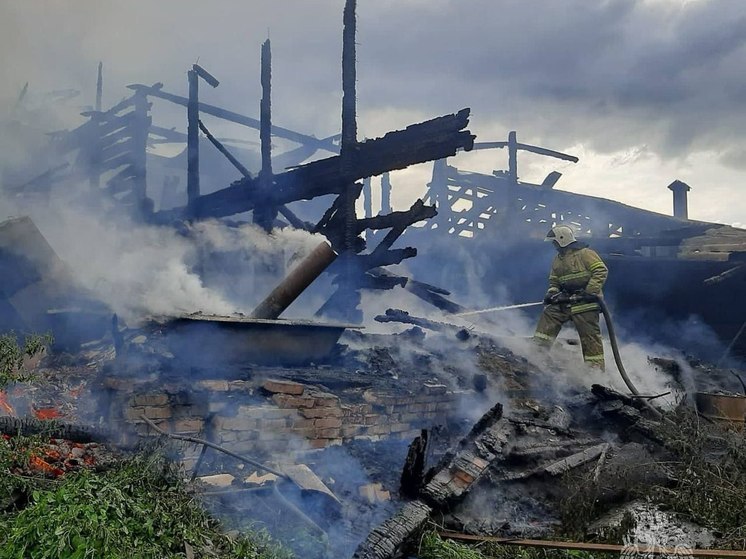 Спасатели ликвидировали пожар в Окуловке