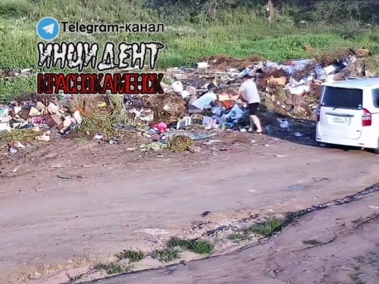 Выбросившего мусор в неположенном месте мужчину ищут в Краснокаменске