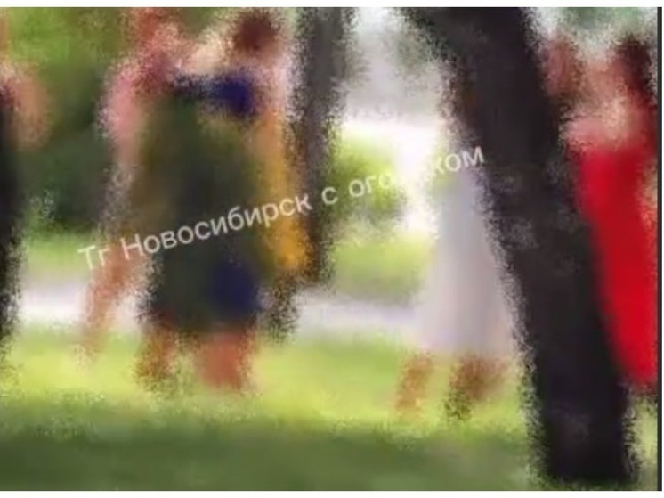 Жителей Новосибирска испугали громкие стоны женщин на Михайловской набережной