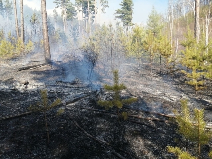 Три лесных пожара ликвидировано в Забайкалье за сутки