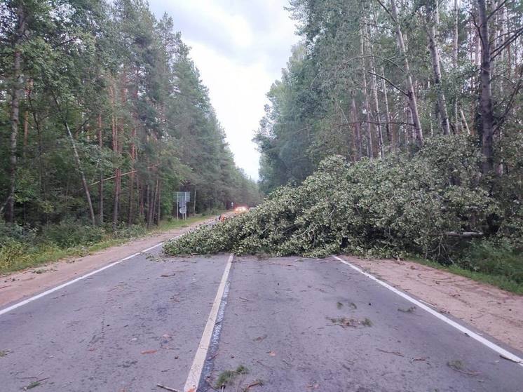 360 человек до сих пор остаются без света в Псковской области из-за непогоды