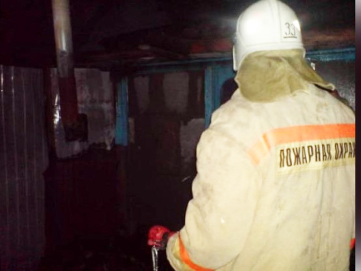 В Воронежской области 42-летний мужчина получил ожоги при пожаре в дачном домике