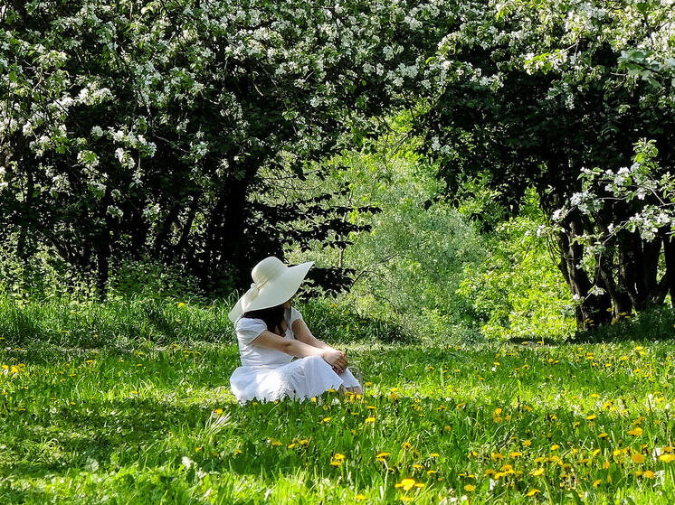 На выходных в Московской области ожидаются дожди