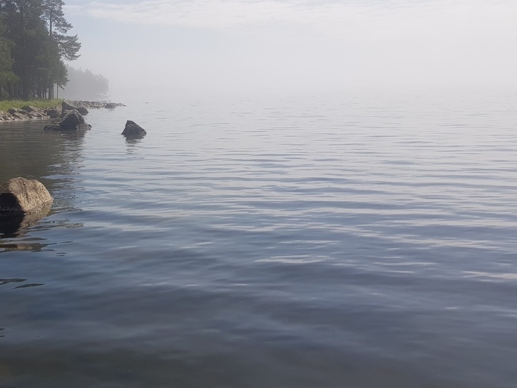 Более 200 гектаров одного из самых больших озер Карелии хотят отдать форелеводам