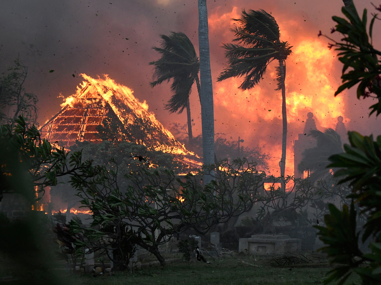 На Гавайях бушуют пожары, туристы спасаются в океане: кадры стихии