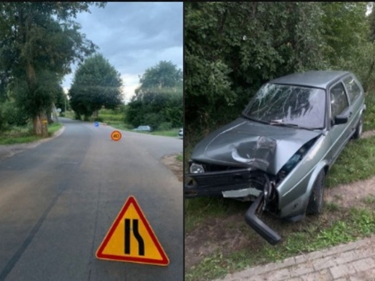 В Зеленоградском районе женщина за рулем отвлеклась на разговор и вылетела в кювет